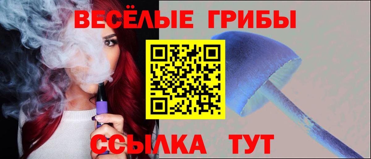 Избербаш  Псилоцибиновые грибы GOLDEN TEACHER  Псилоцибиновые грибы Psilocybe  Вход с VPN 